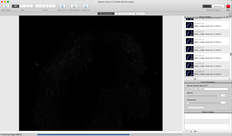 Illustration for article titled Welcome to Microscope Monday - How it's done